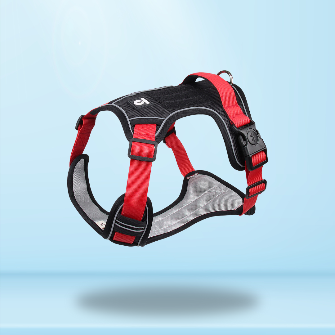 Harnais SafeLead-11®