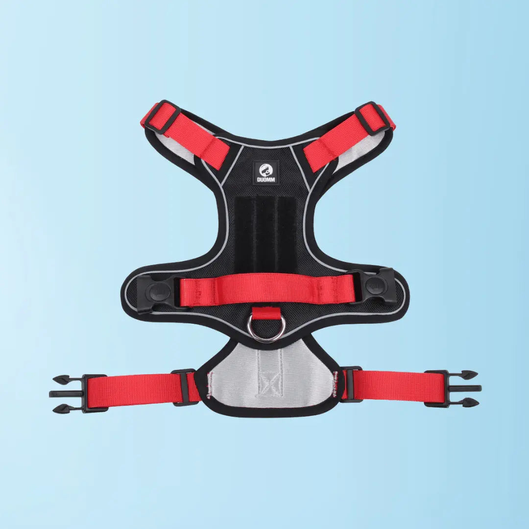 Harnais SafeLead-11®