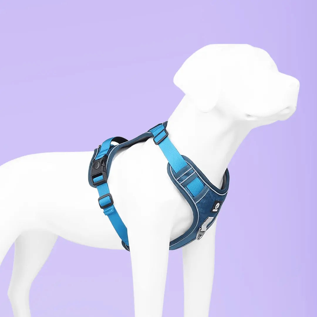 Harnais SafeLead-11®