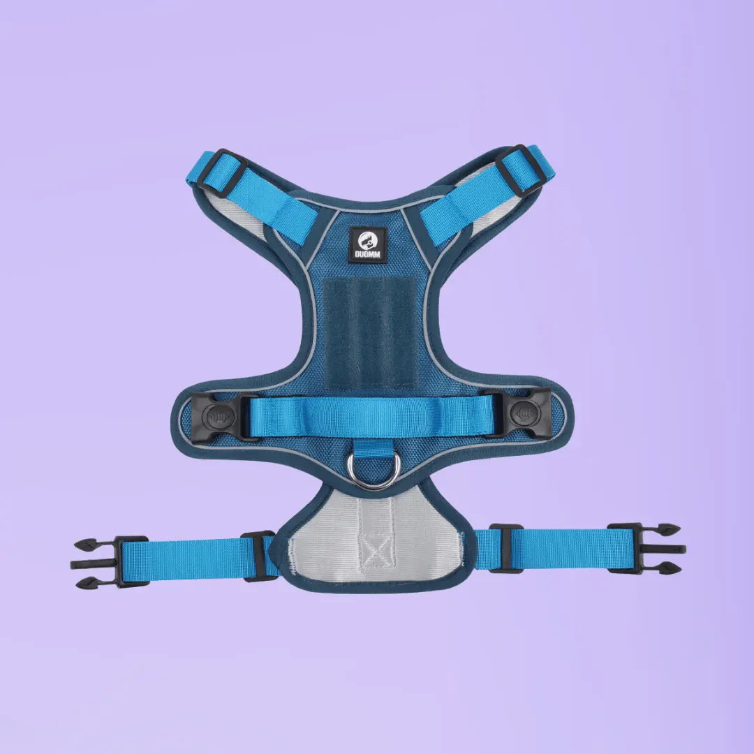 Harnais SafeLead-11®