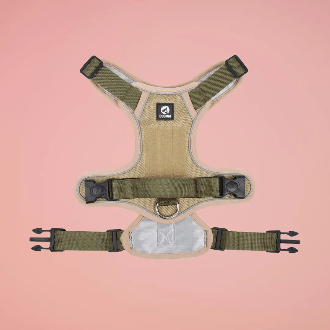 Harnais SafeLead-11®