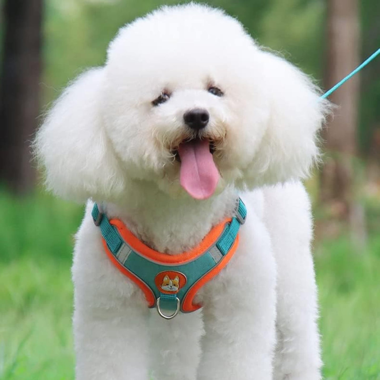 Harnais IDOG-4®