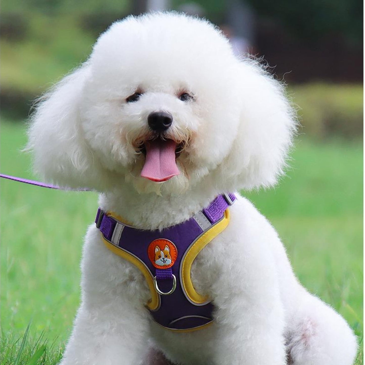 Harnais IDOG-4®