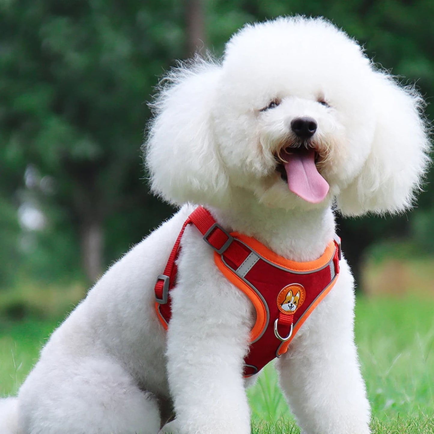 Harnais IDOG-4®