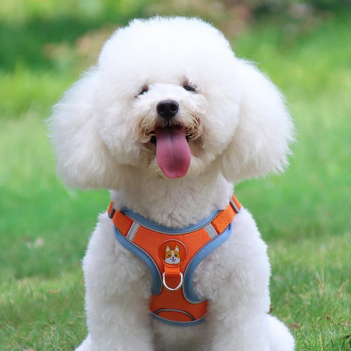 Harnais IDOG-4®