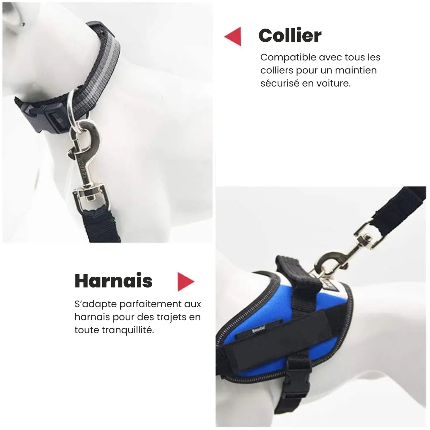 Ceinture de sécurité pour chien Vert Kaki (élastique)