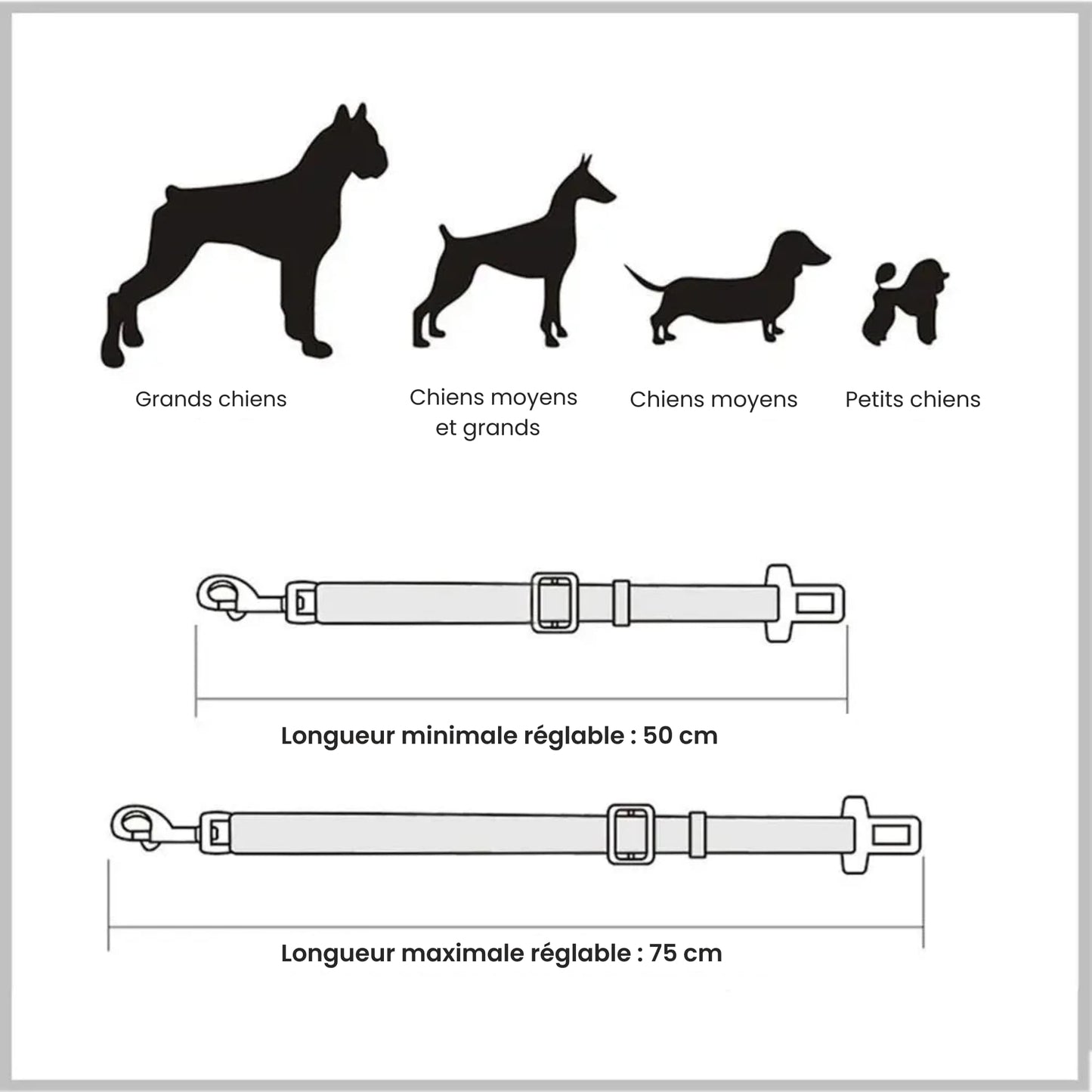 Ceinture de sécurité pour chien Vert Kaki (élastique)