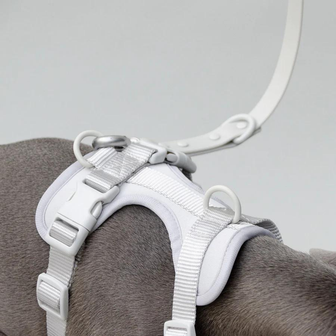 Blanc