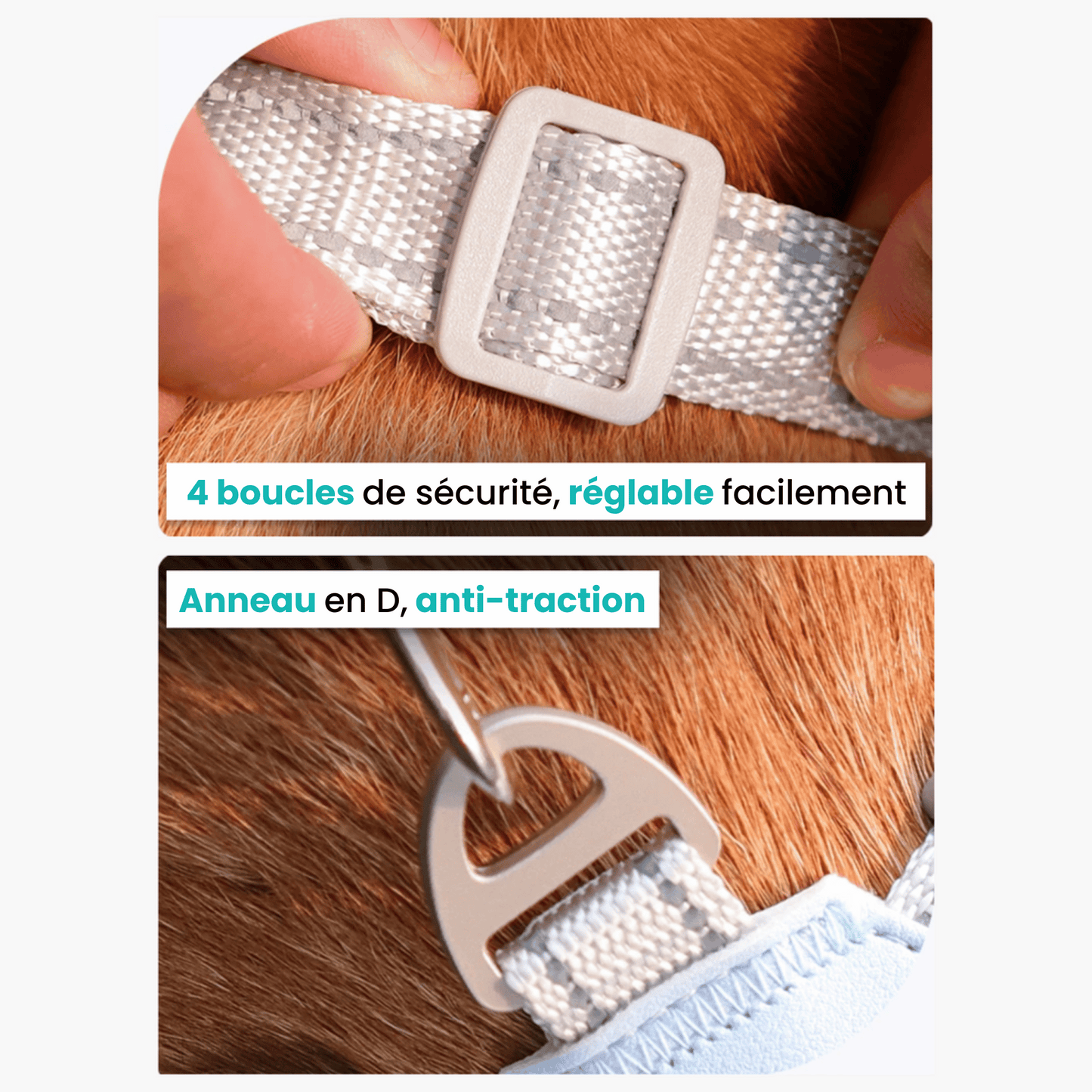 Harnais DUOMM-2®