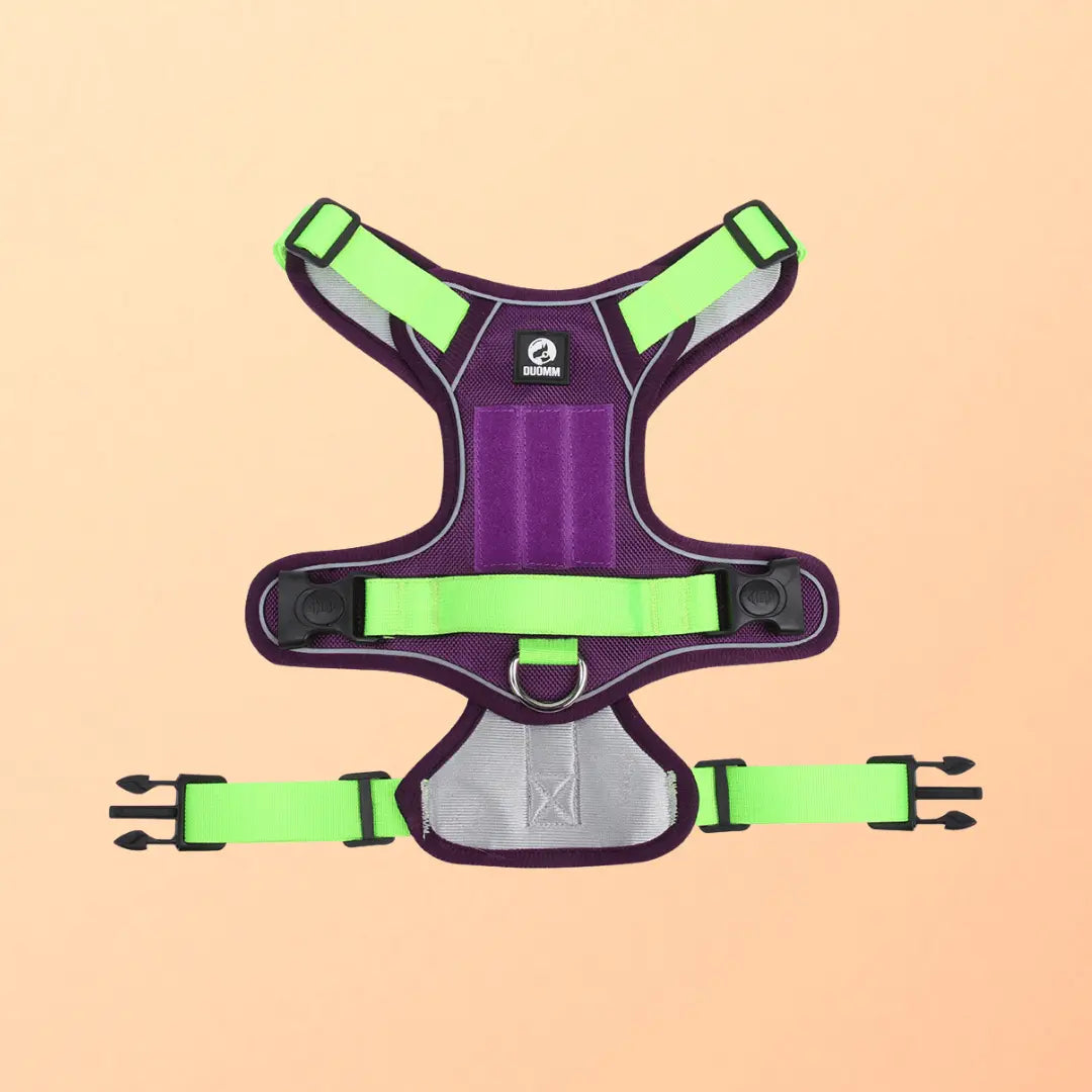 Harnais SafeLead-11®