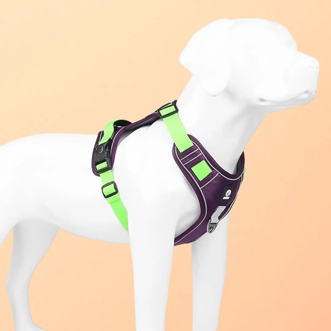 Harnais SafeLead-11®
