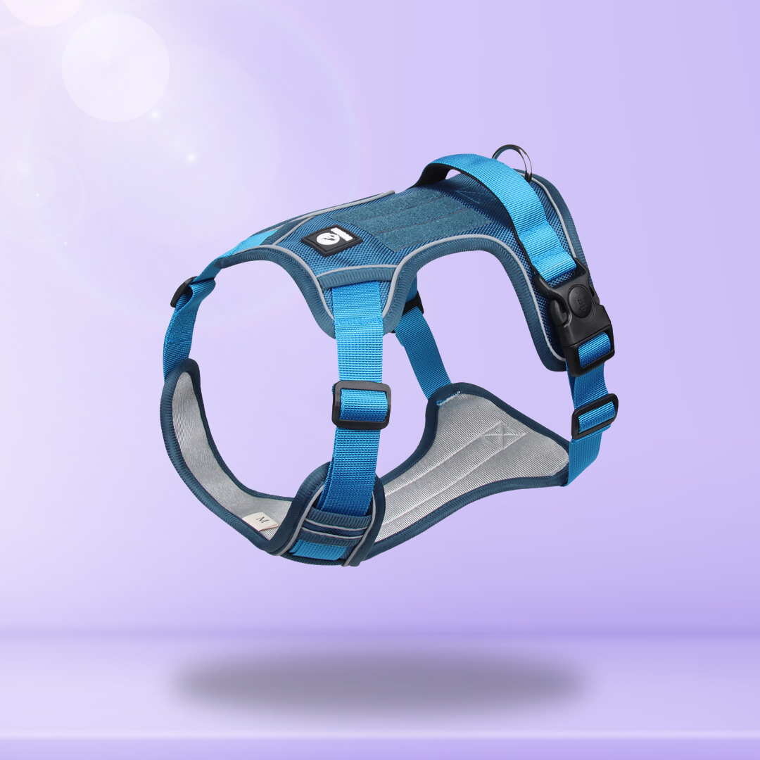 Harnais SafeLead-11®