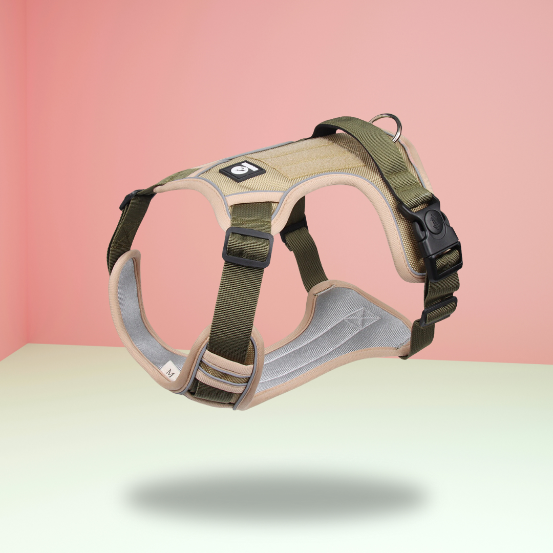 Harnais SafeLead-11®