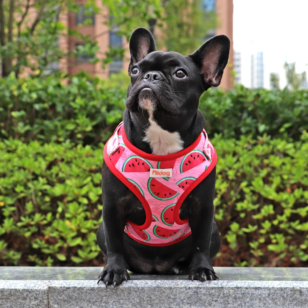 Harnais IDOG-1®