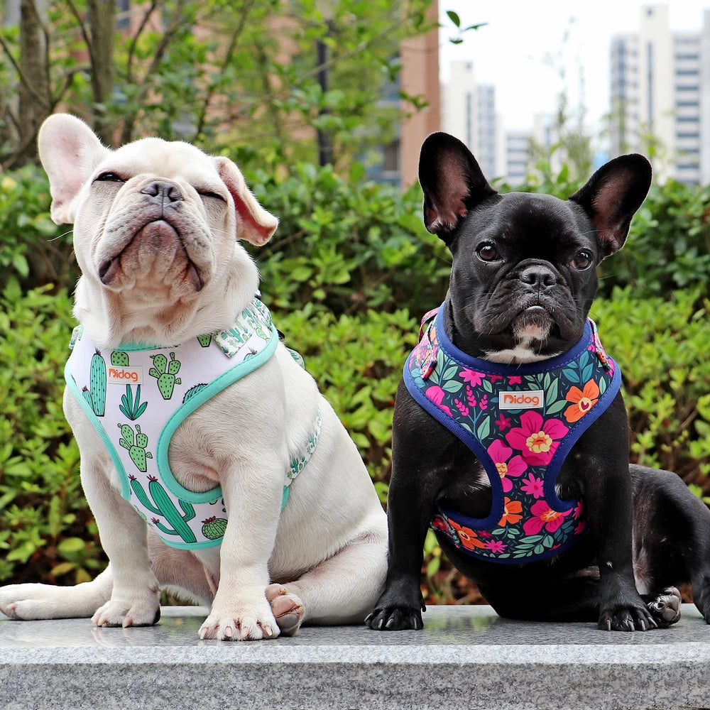 Harnais IDOG-1®