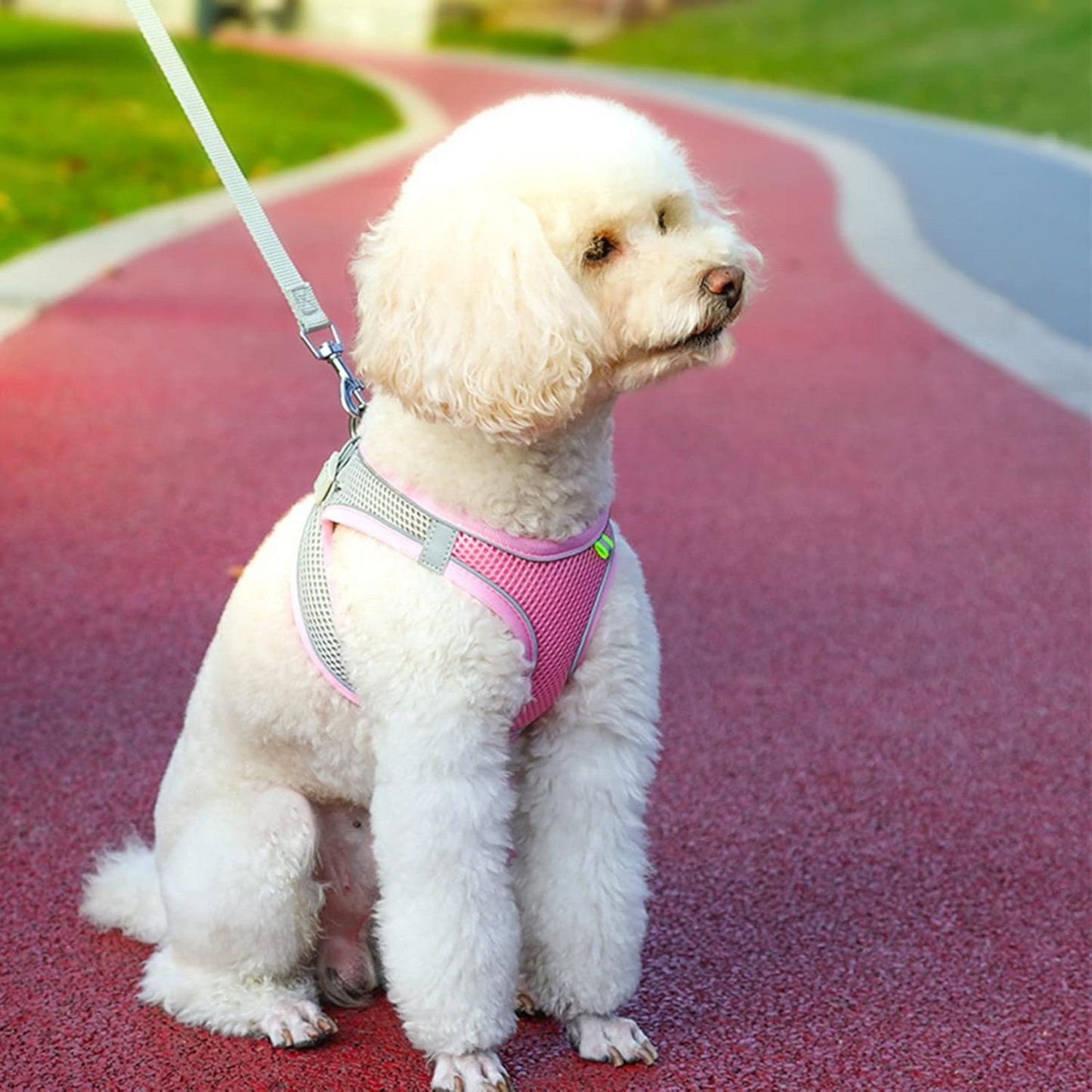 Harnais IDOG-3®