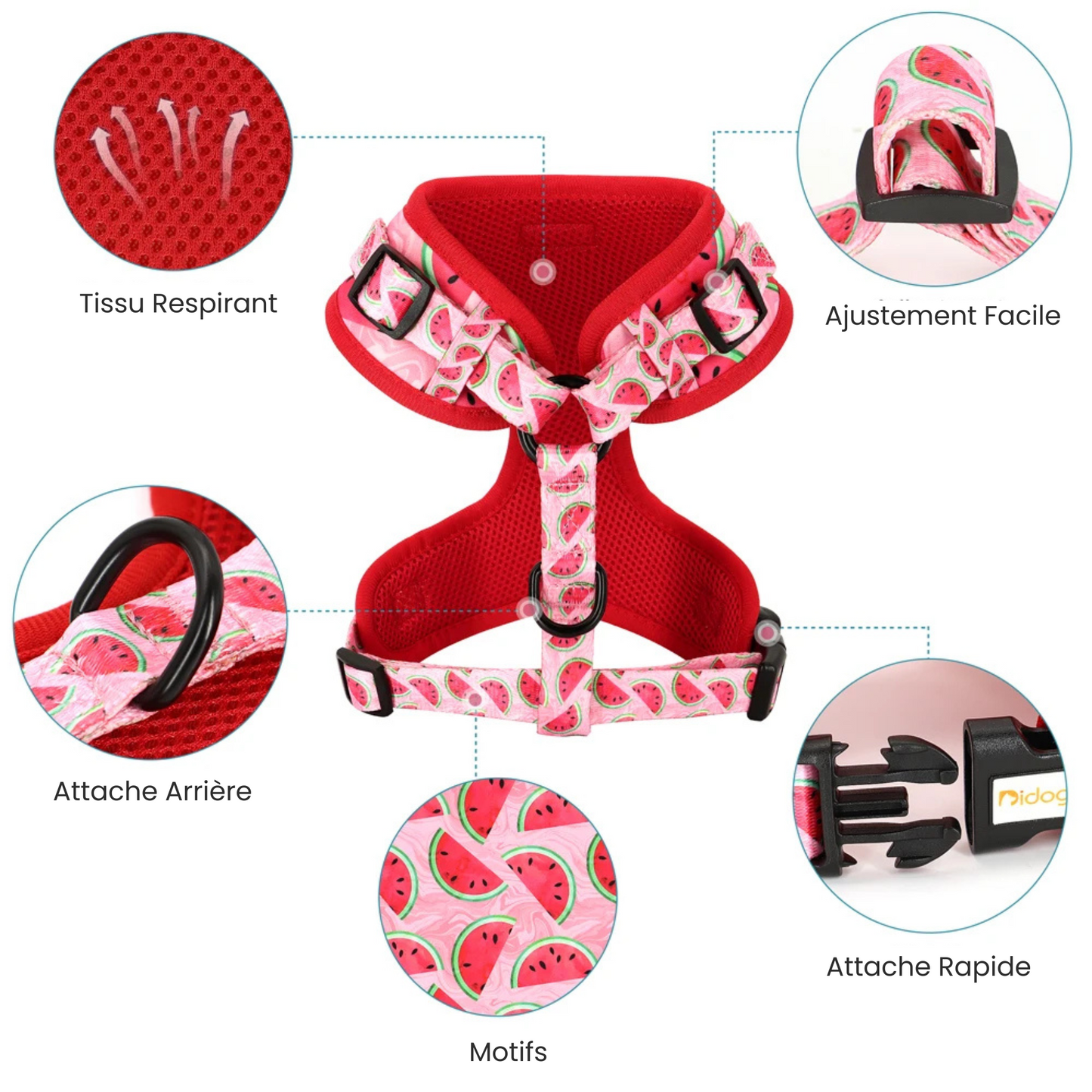 Harnais IDOG-1®