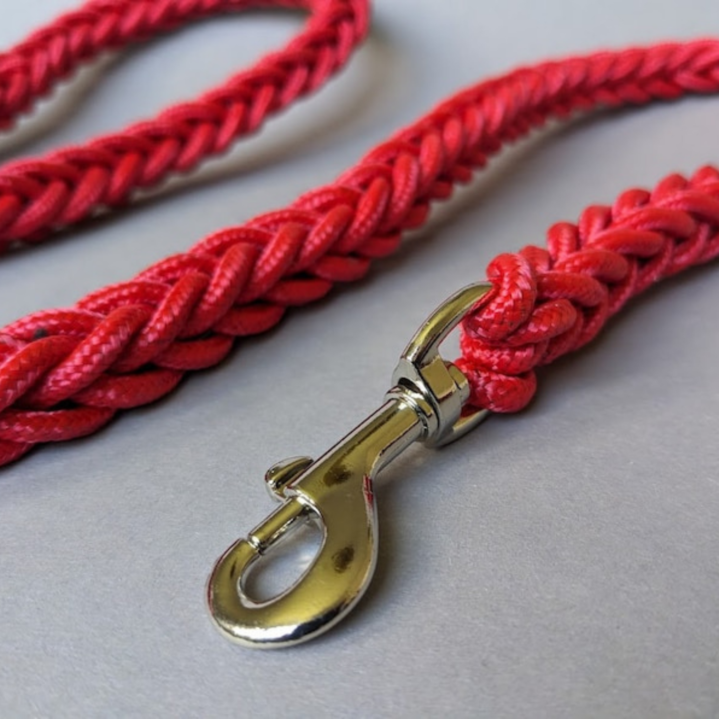 Laisse en Corde Tressée (Noir)