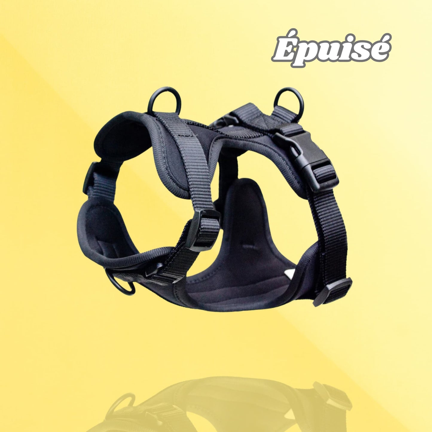 Harnais SafeLead-9®