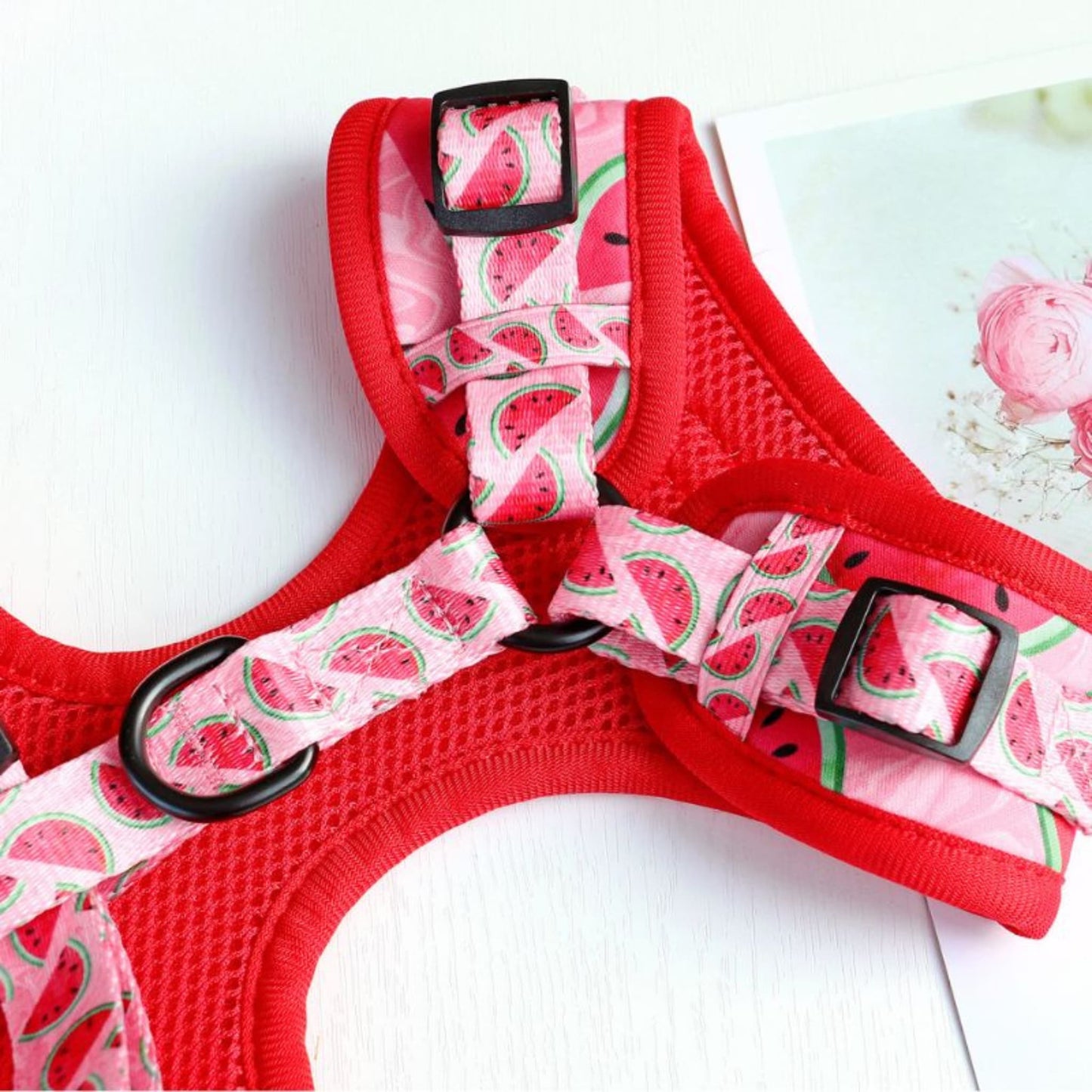 Harnais IDOG-1®