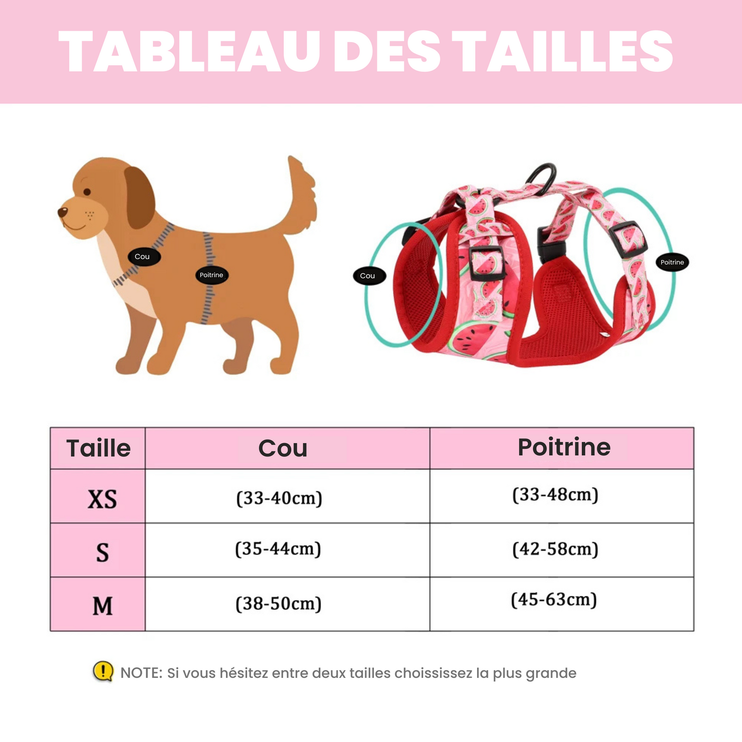 Harnais IDOG-1®