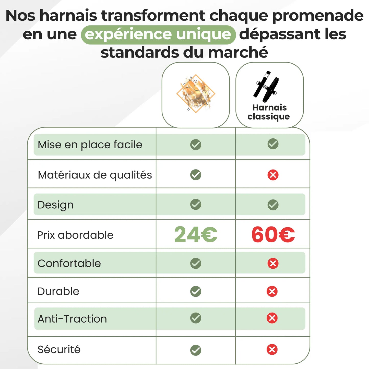 Harnais SafeLead-11®