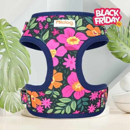 Harnais IDOG-1®