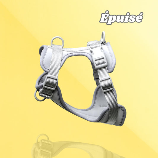 Harnais SafeLead-9®