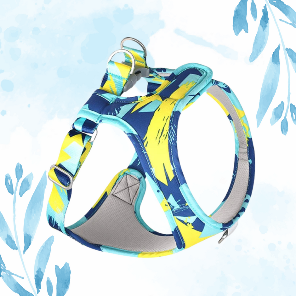 La Maison du Harnais - Harnais pour Chien Ergonomiques et Confortables
